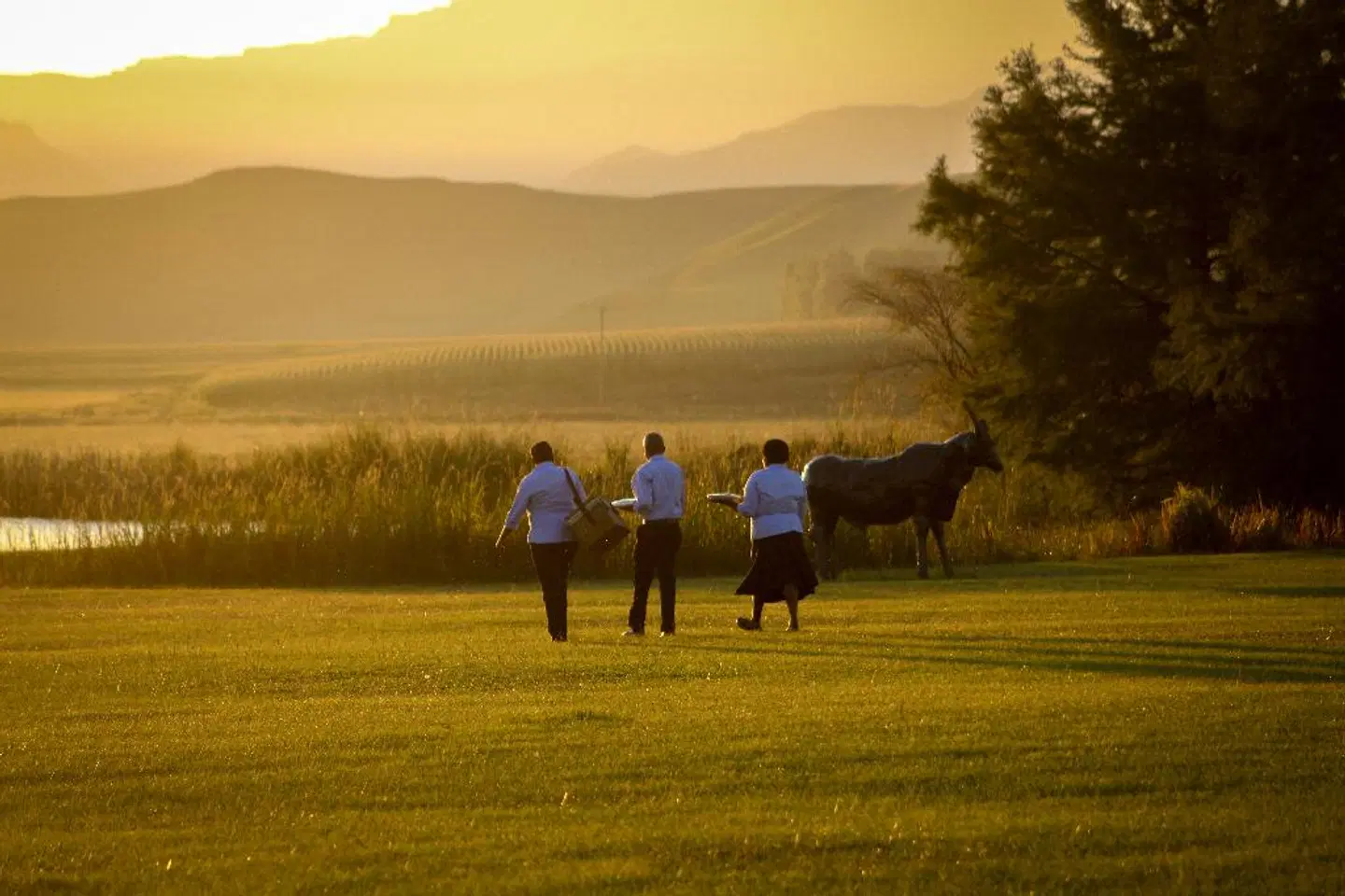 Moorcroft Manor Tiere