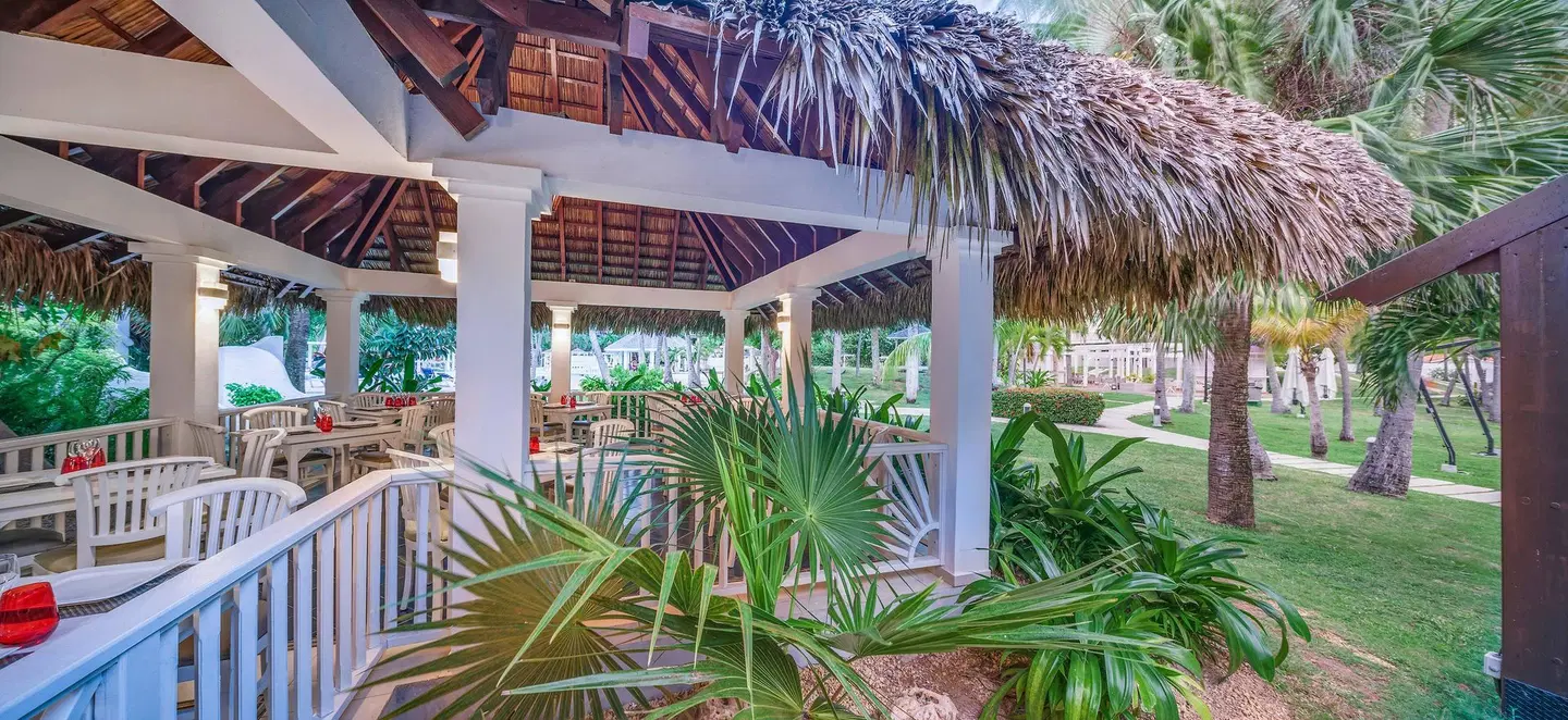 Sol Palmeras TERRACE