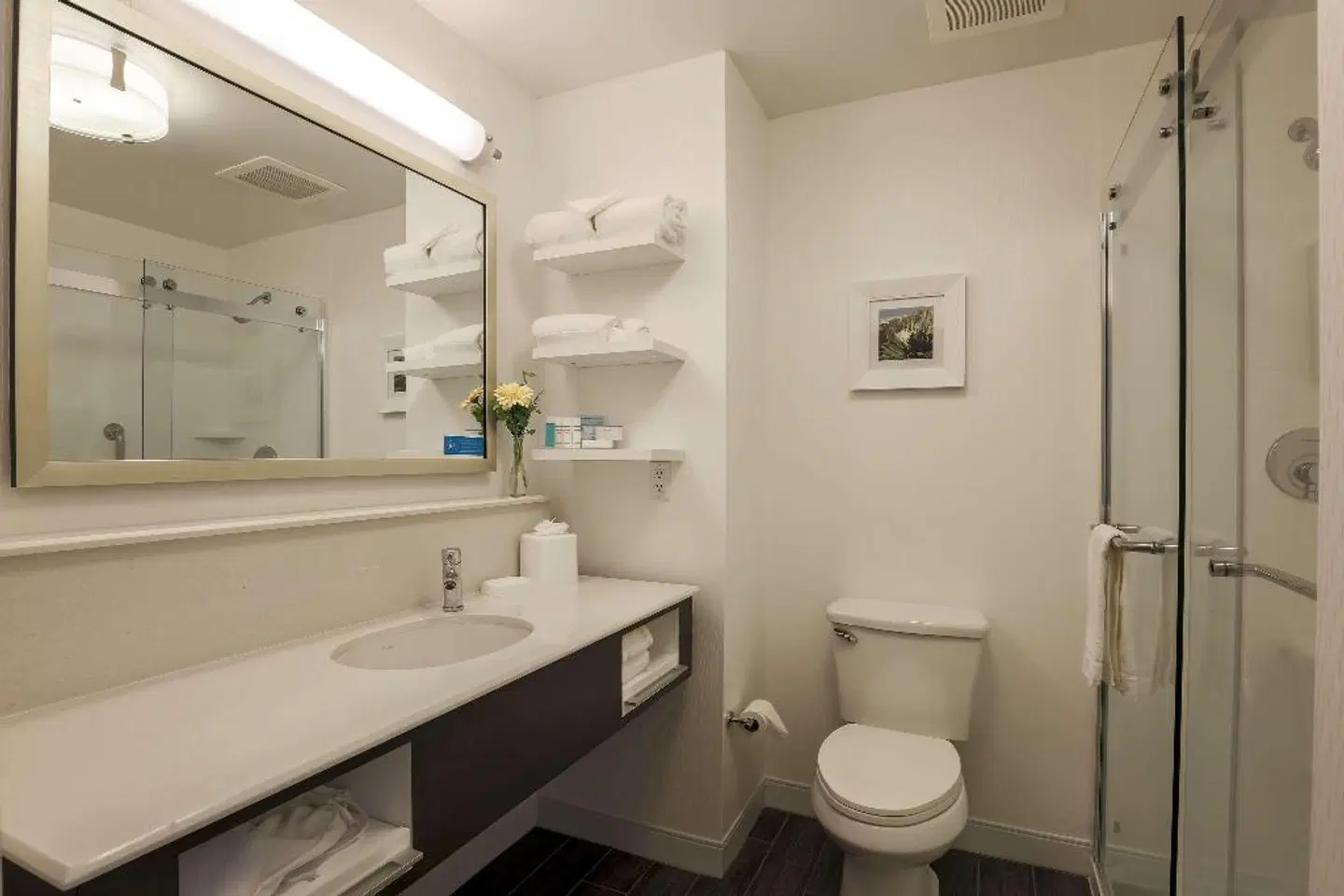 Hampton Inn Santa Barbara/Goleta Badezimmer