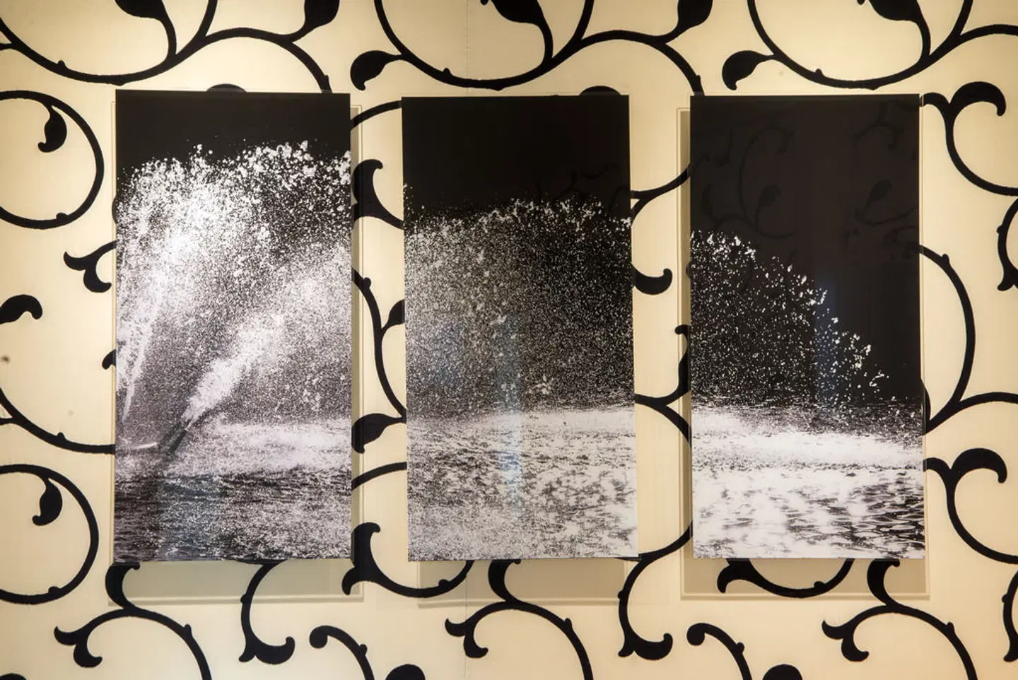 Etoile Park Hotel Tiere