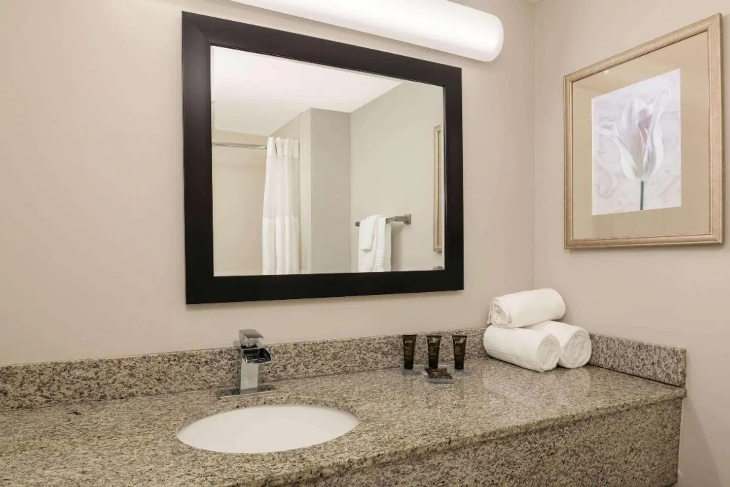 Wingate by Wyndham Atlanta Galleria/Ballpark Badezimmer