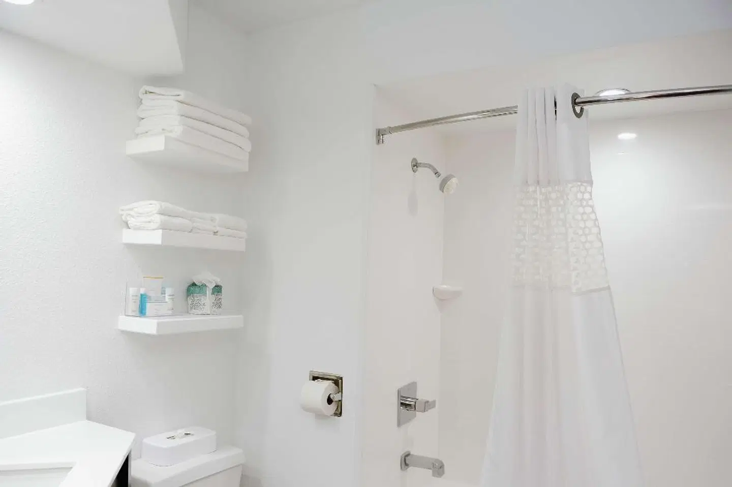 Hampton Inn St. Augustine-Historic District Badezimmer