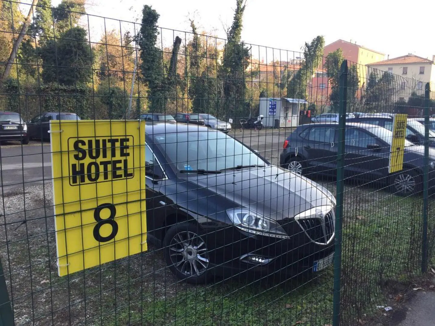 Suite Hotel Elite Tiere