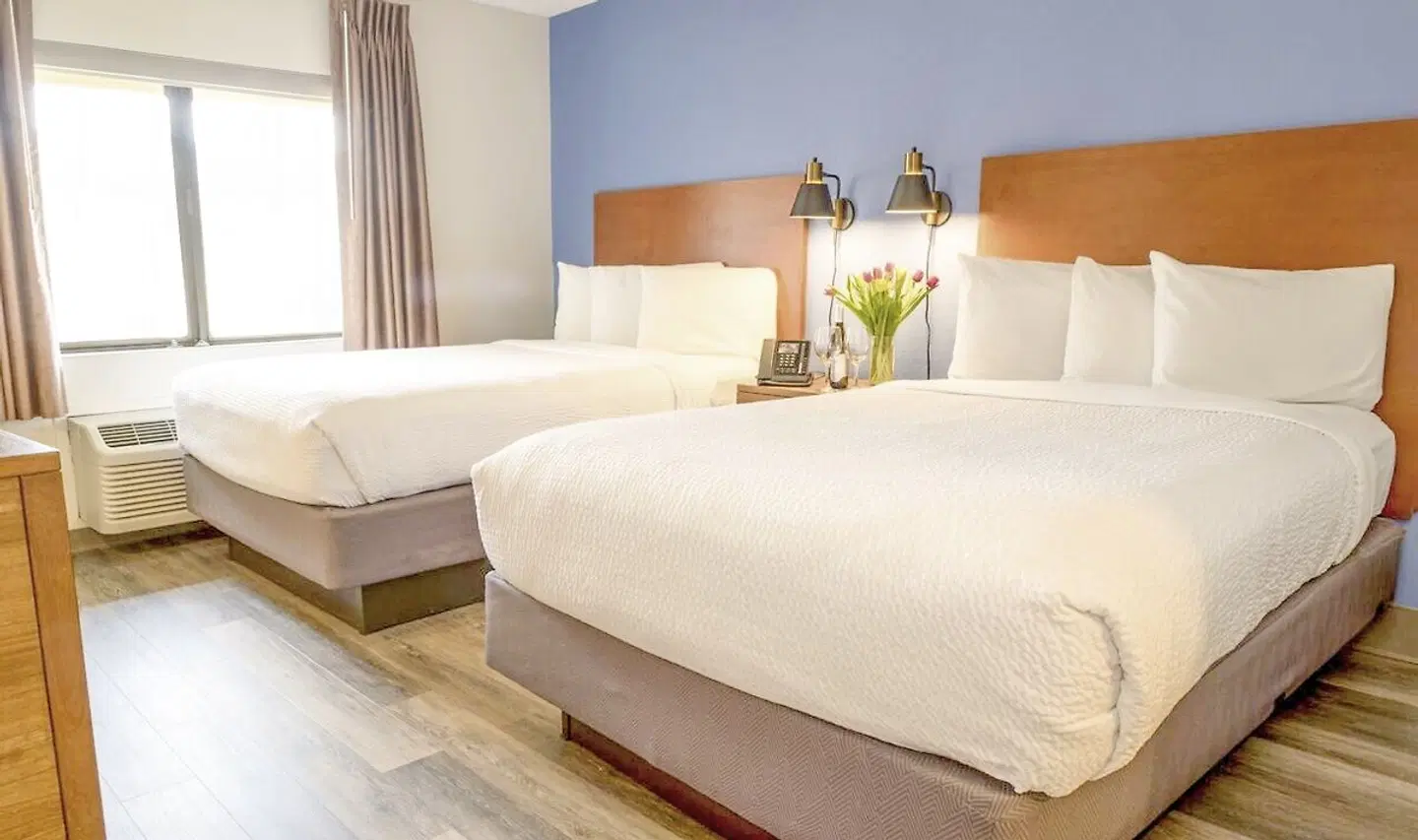 Hotel Focus ROOM_EXAMPLE