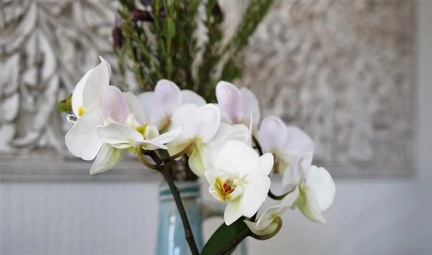 Zum Eisenhammer LANDSCAPE