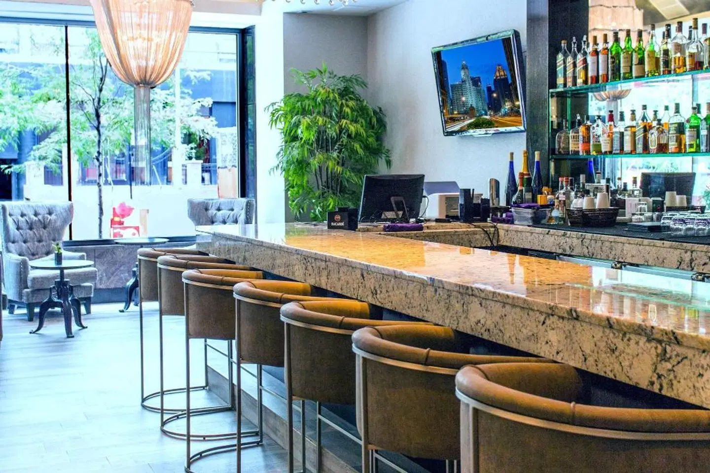 Ivy Boutique Hotel Bar