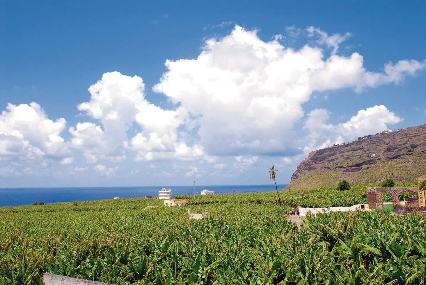 Hacienda de Abajo LANDSCAPE