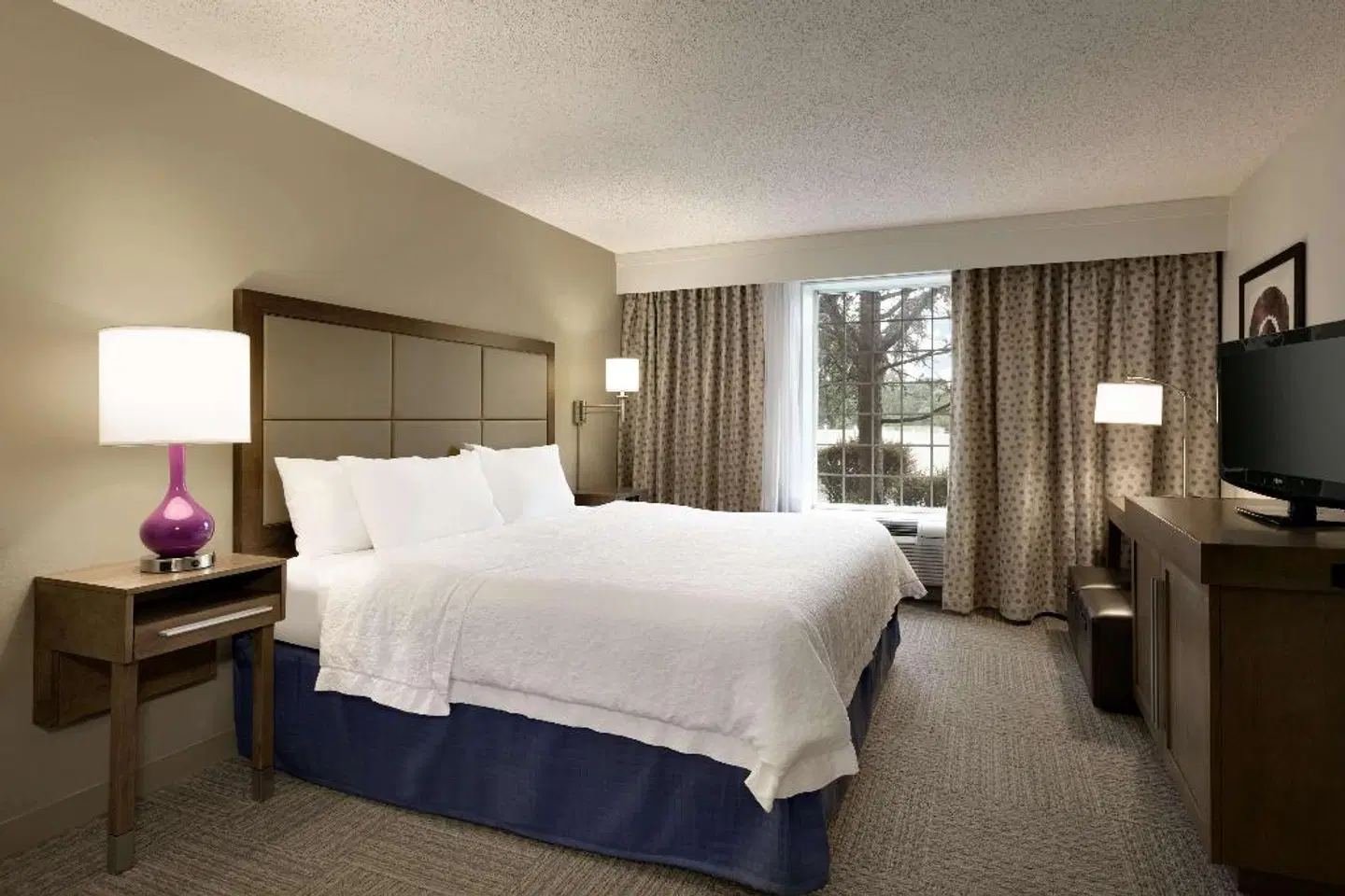 Hampton Inn & Suites Hershey ROOM_EXAMPLE