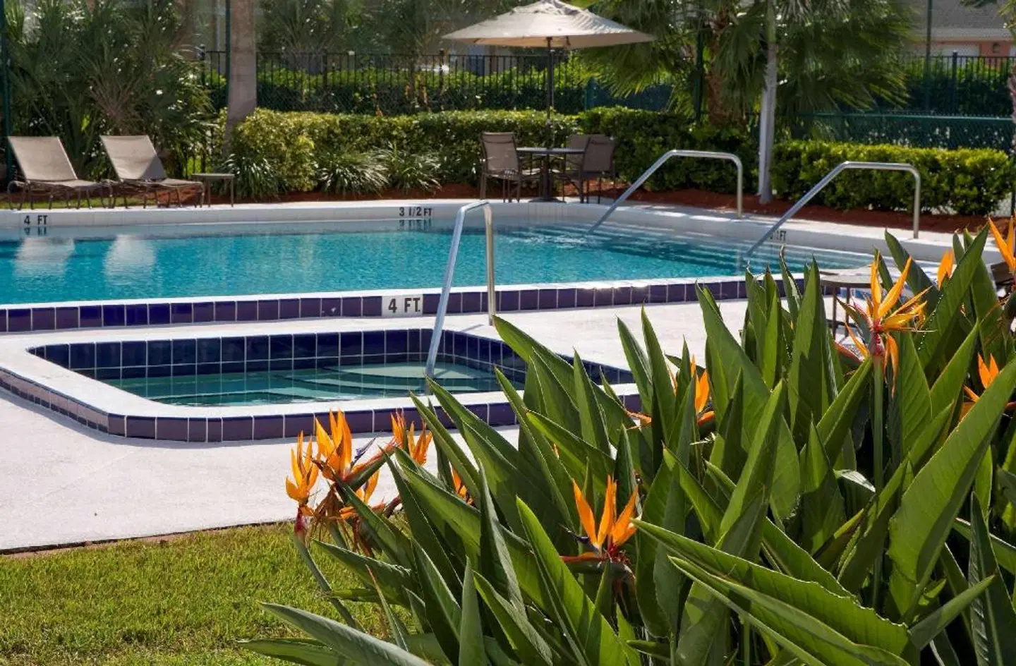 Hilton Melbourne Rialto Place OUTDOOR_POOL