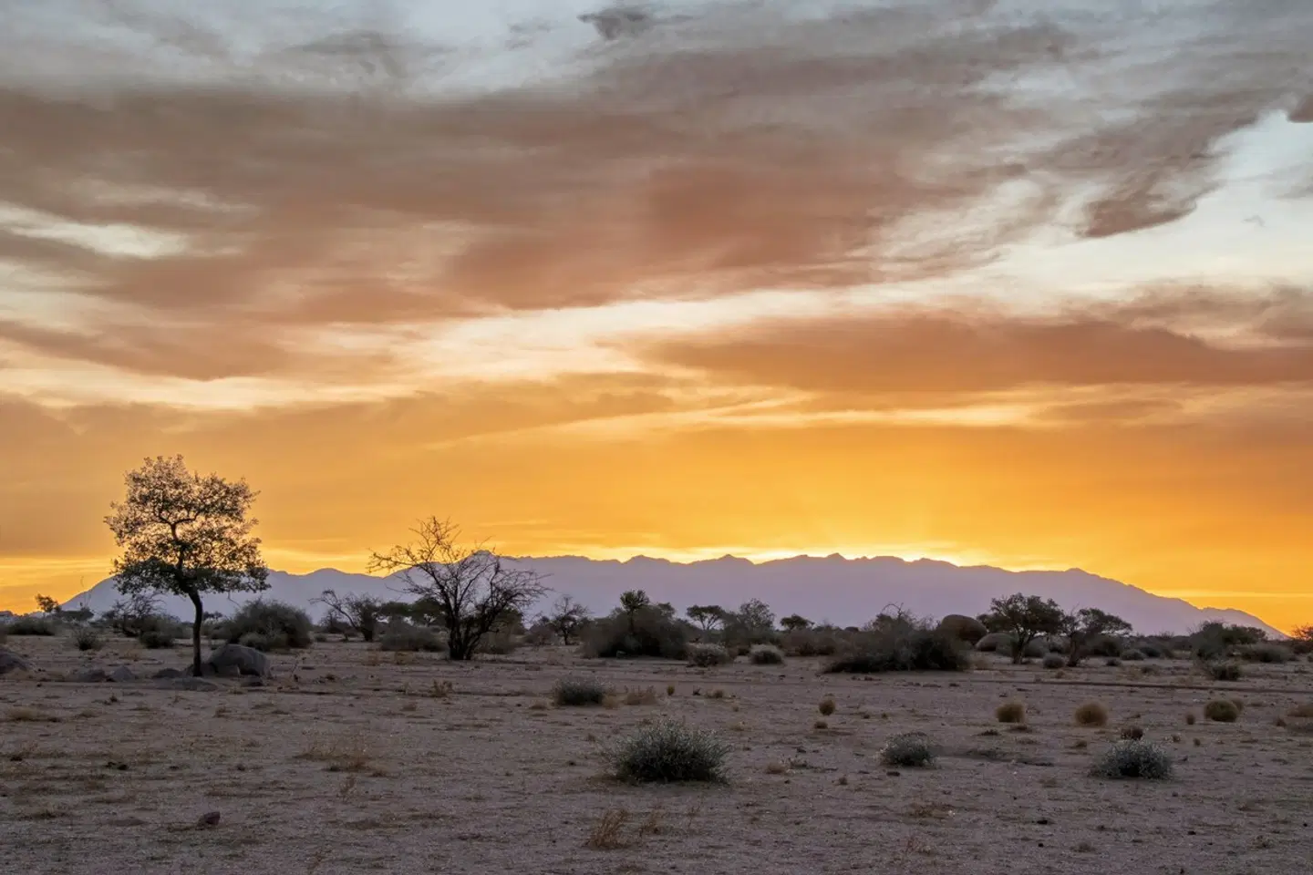 Ondjamba Hills LANDSCAPE