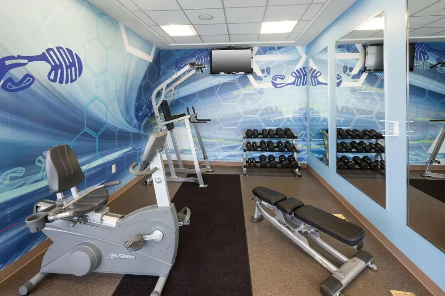 SpringHill Suites by Marriott Orlando at SeaWorld® SPORTS_AND_LEISURE