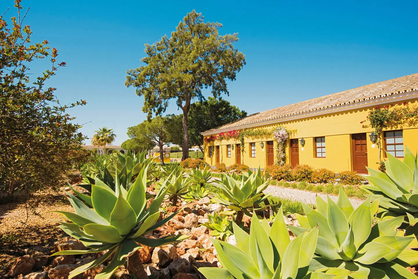 Vila Galé Albacora Garten