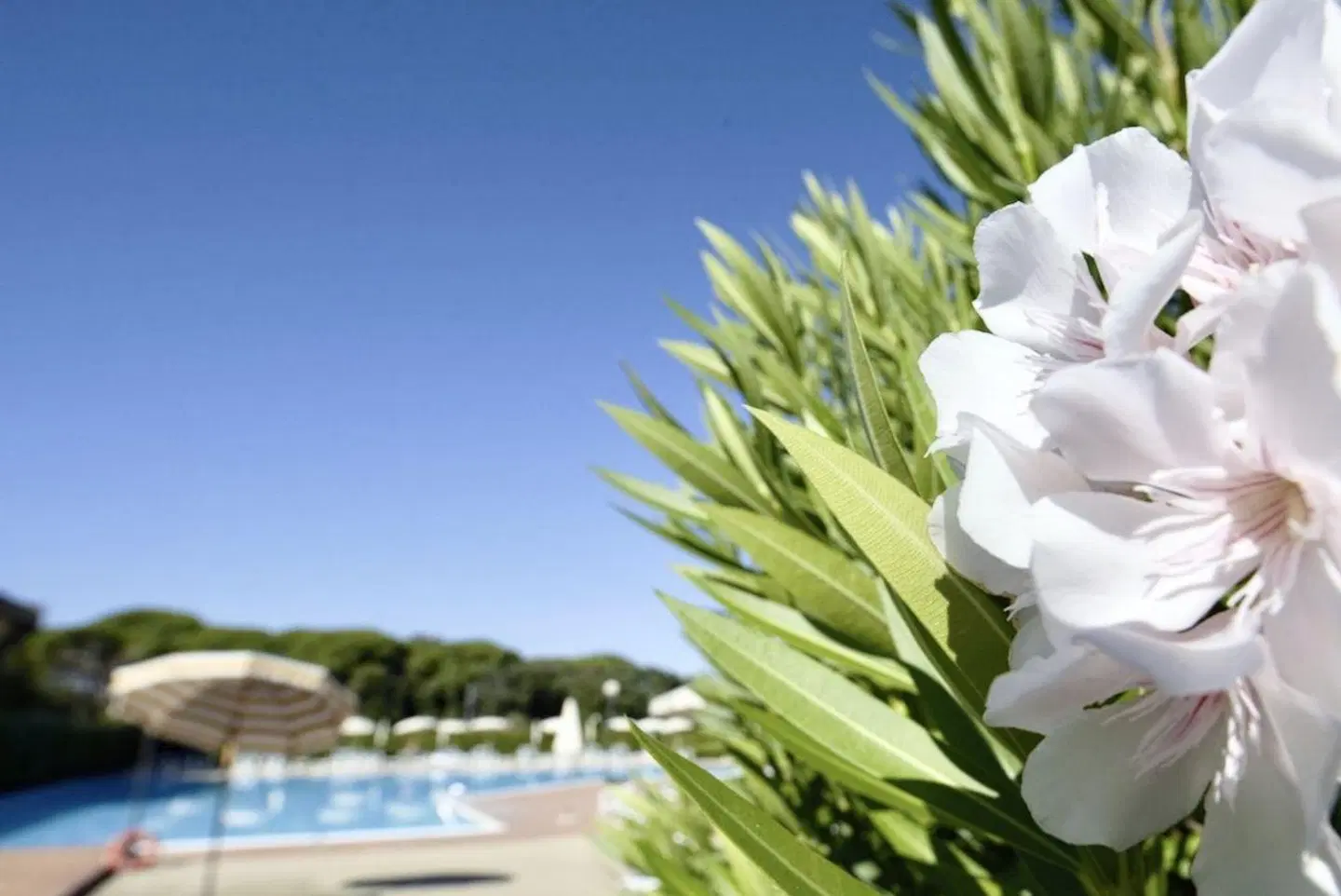 Residenze Santa Costanza Restaurant