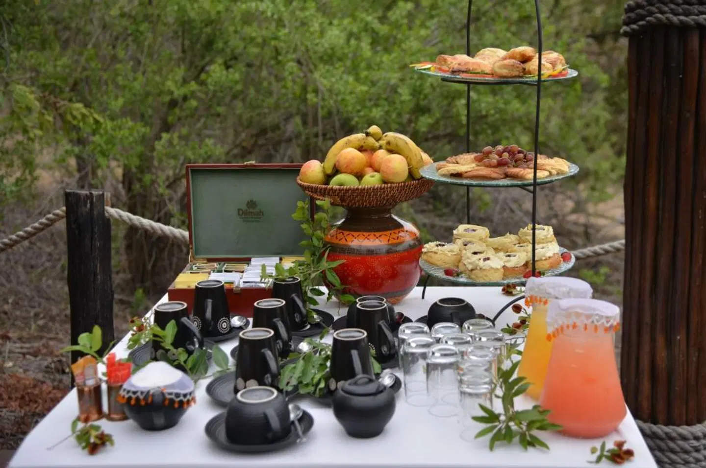 Hoyo Hoyo Safari Lodge Terrasse