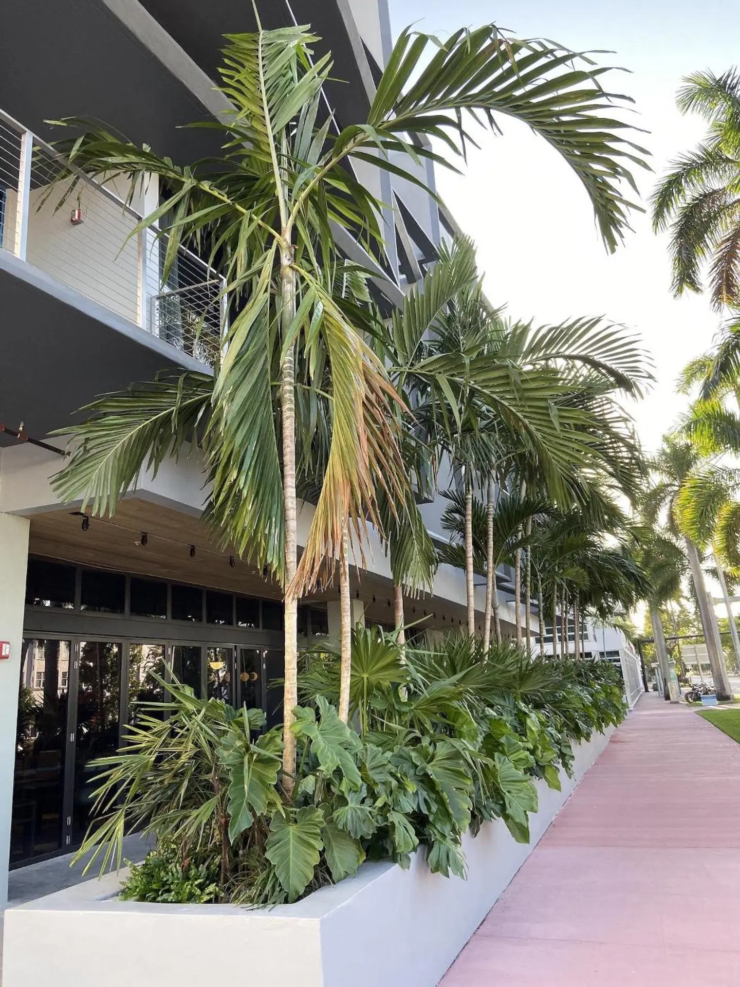 Urbanica The Euclid Hotel Garten