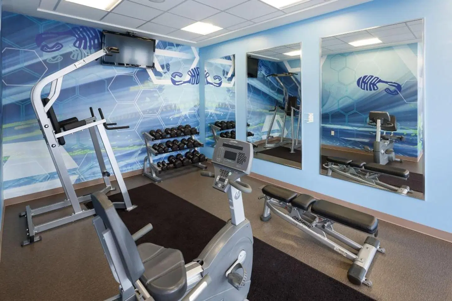 SpringHill Suites by Marriott Orlando at SeaWorld® SPORTS_AND_LEISURE