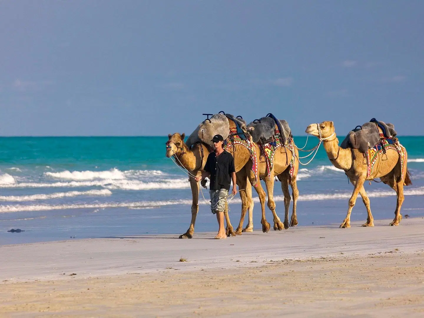 Mantra Frangipani Broome Tiere
