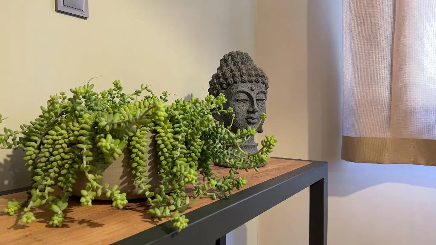 Kale Beach Hotel Garten