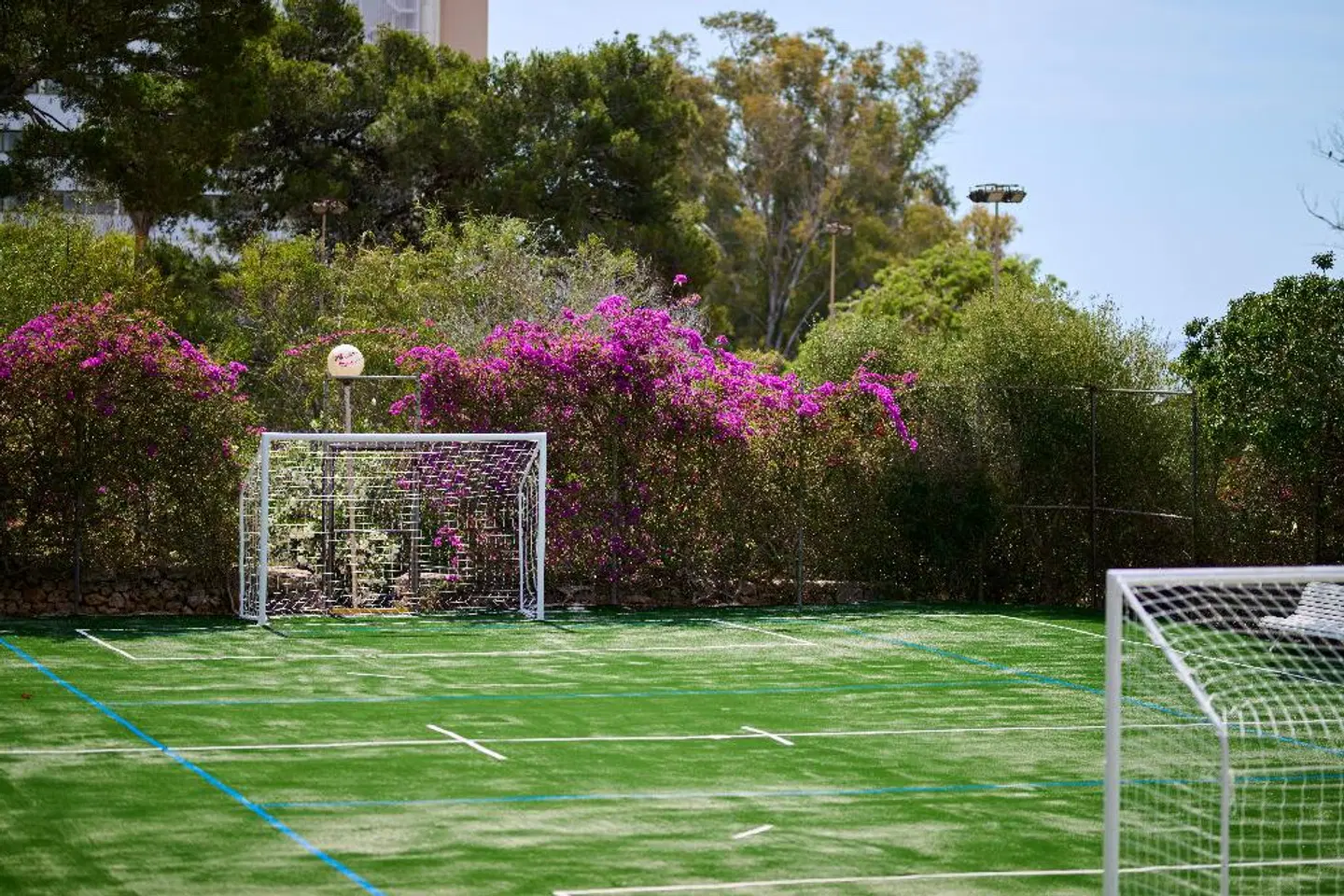 AluaSun Cala Antena Garten