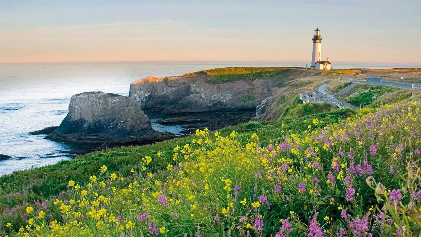 The Whaler LANDSCAPE