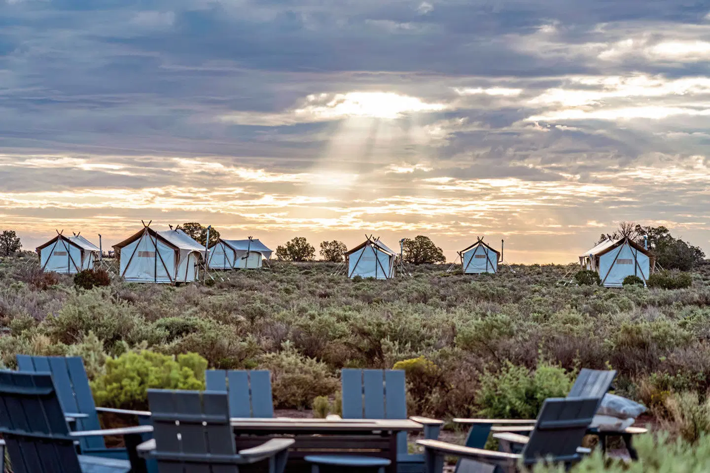 Under Canvas Grand Canyon Tiere