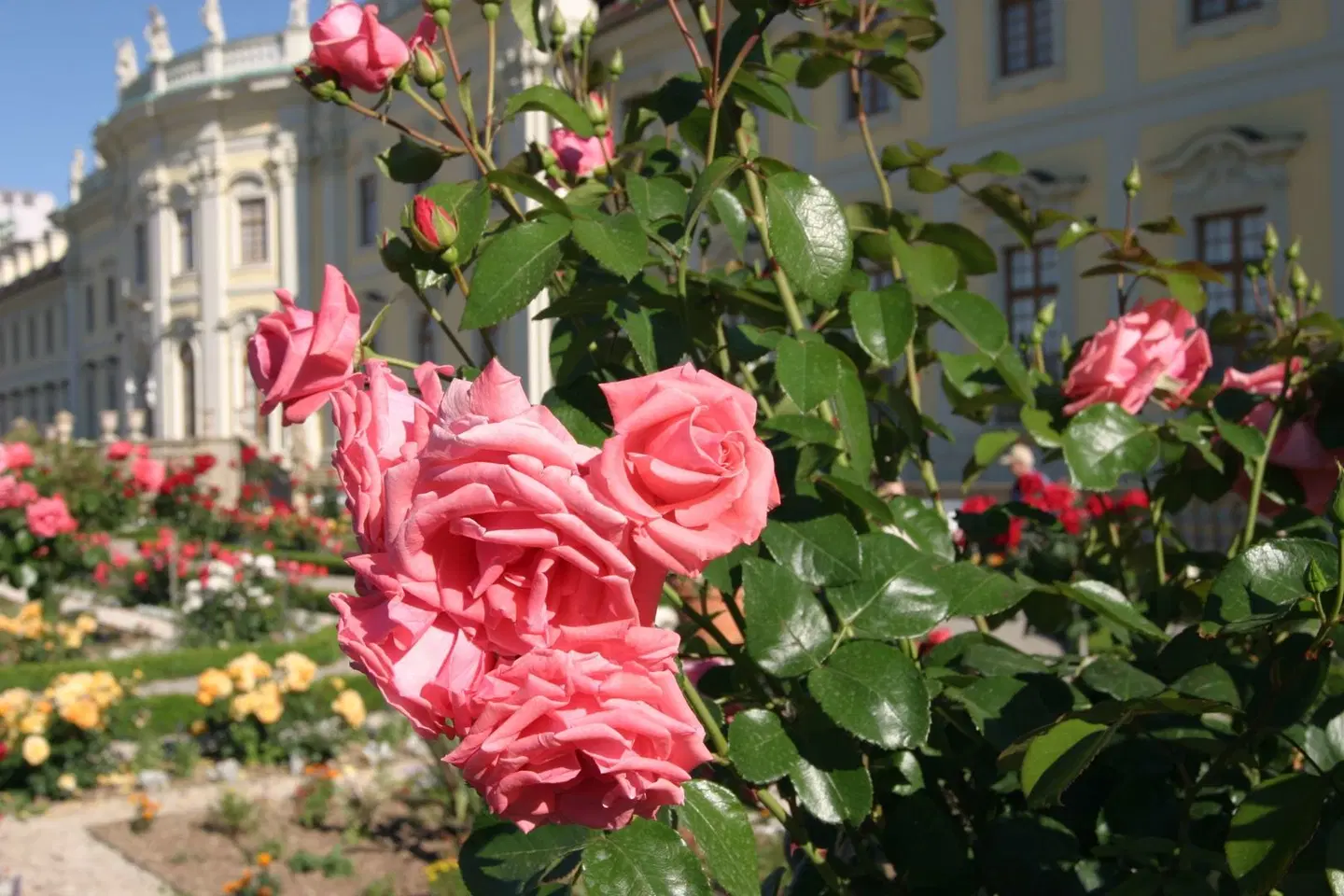 Best Western Hotel Favorit LANDSCAPE