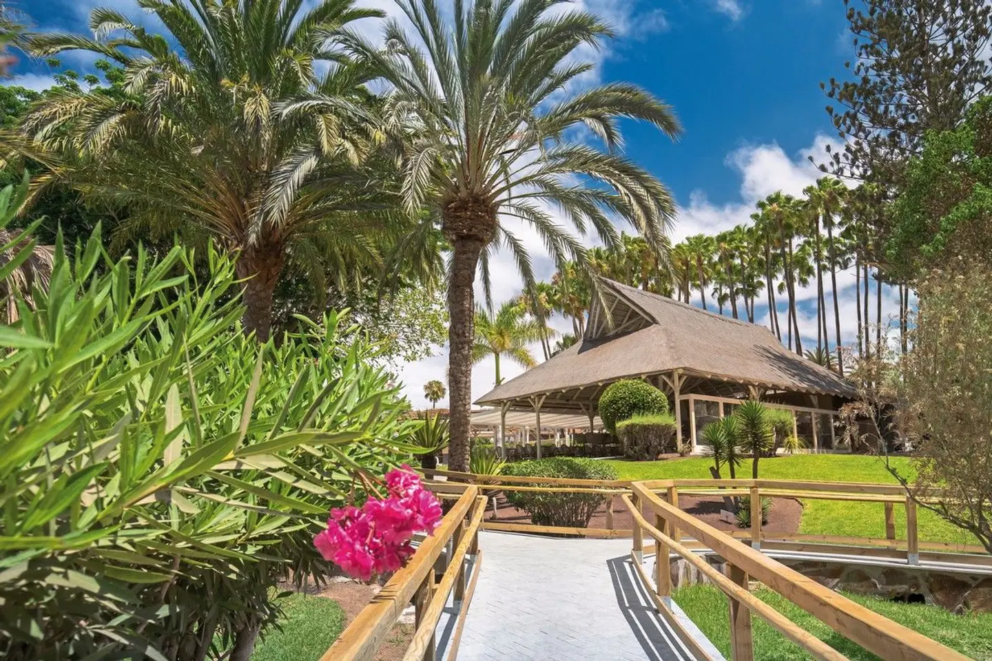 Barceló Margaritas ROYAL LEVEL Terrasse