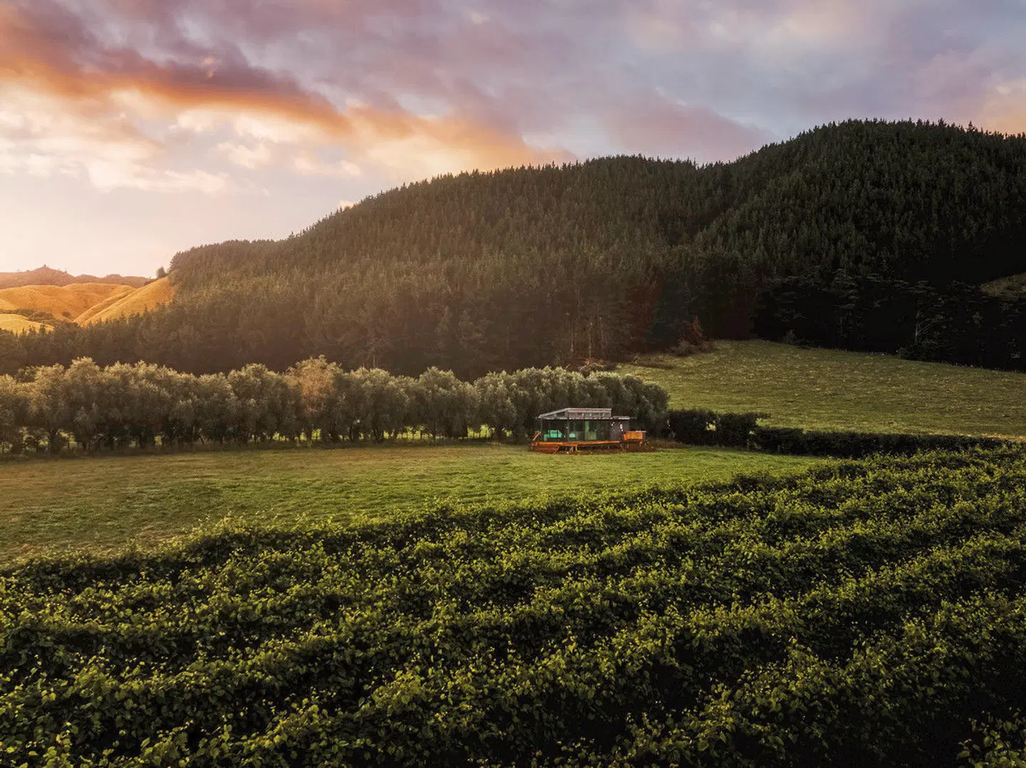 Kokomea PurePod LANDSCAPE