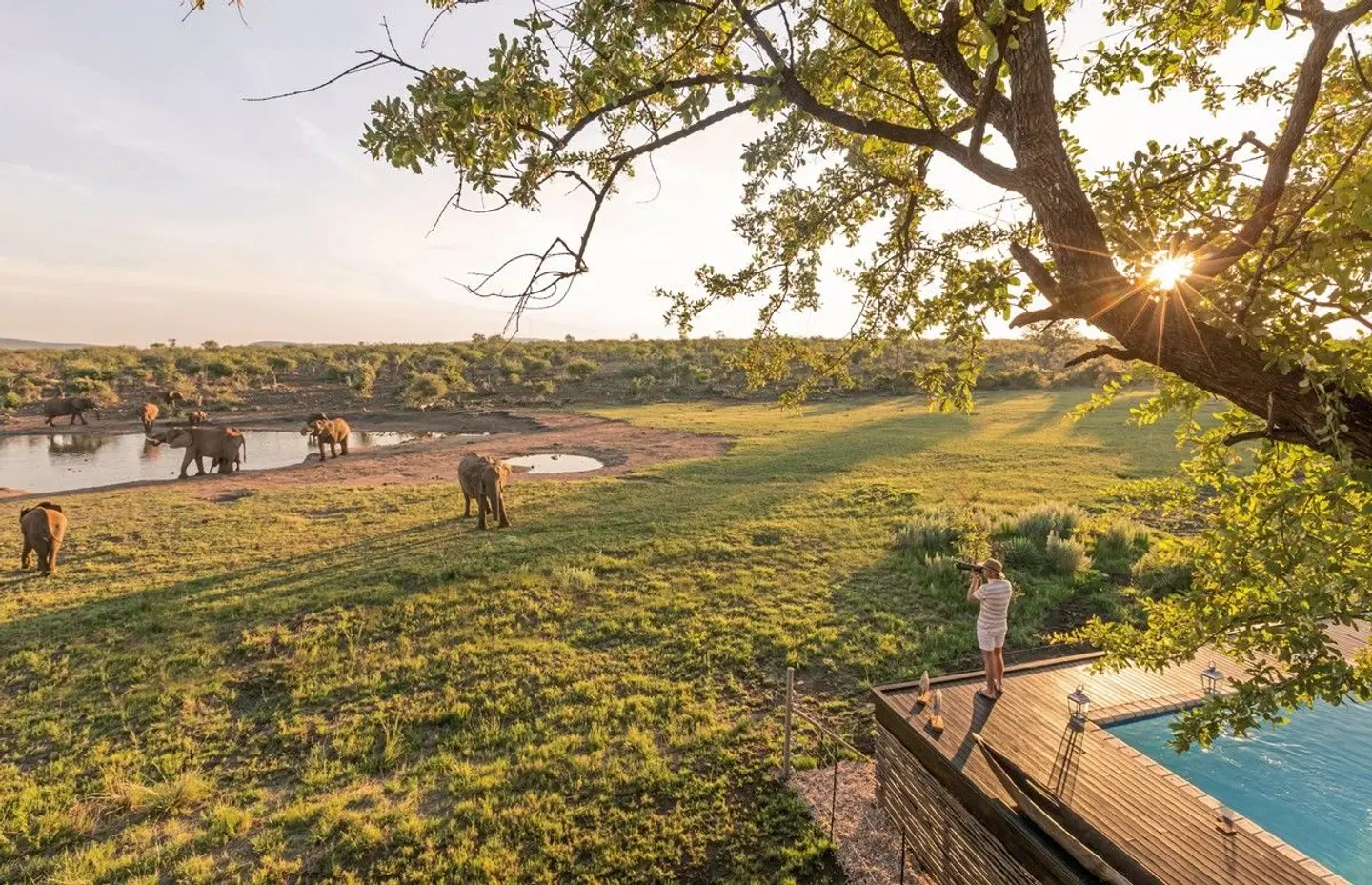 Jamala Madikwe LANDSCAPE