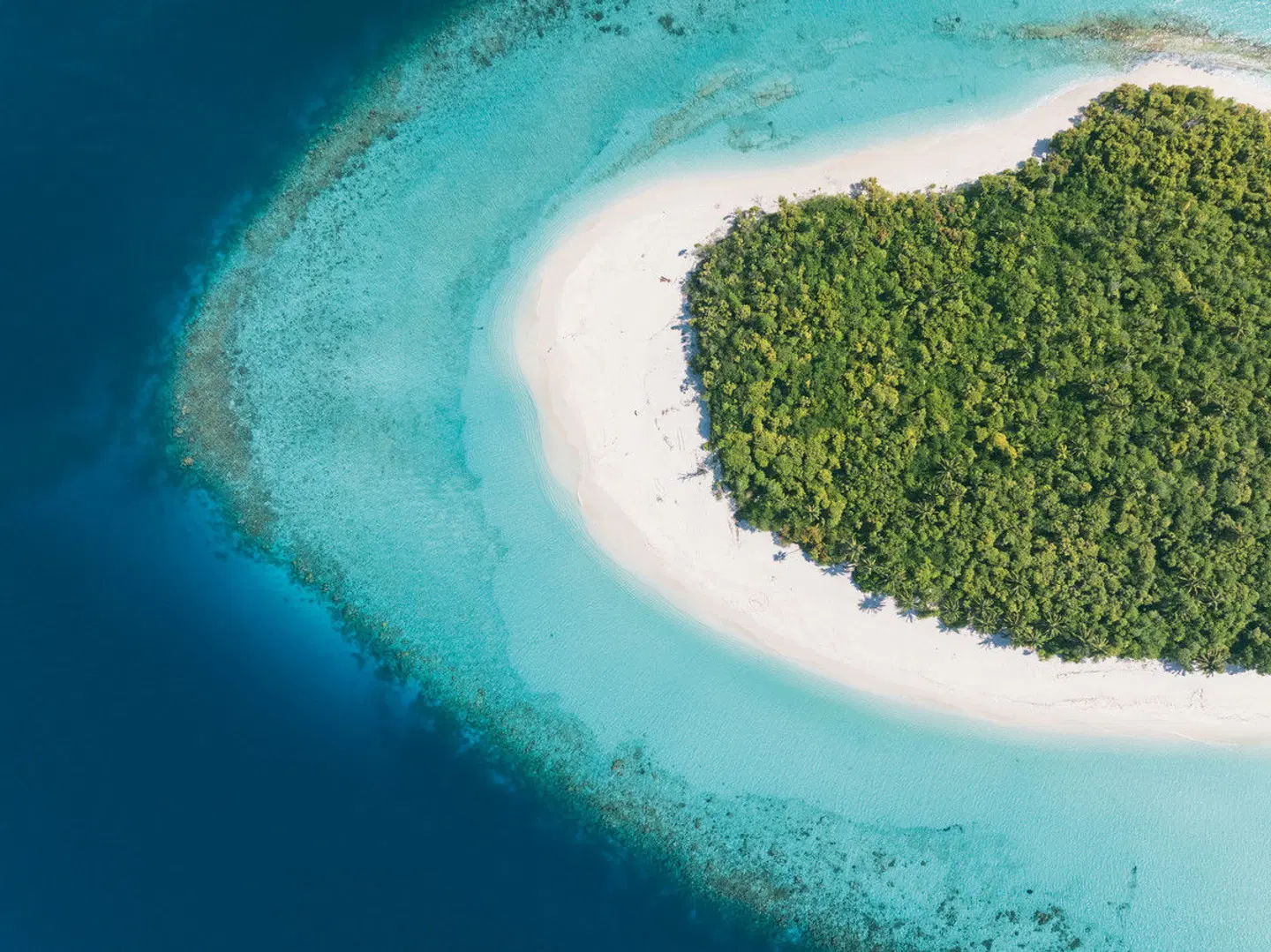 Park Hyatt Maldives Hadahaa LANDSCAPE