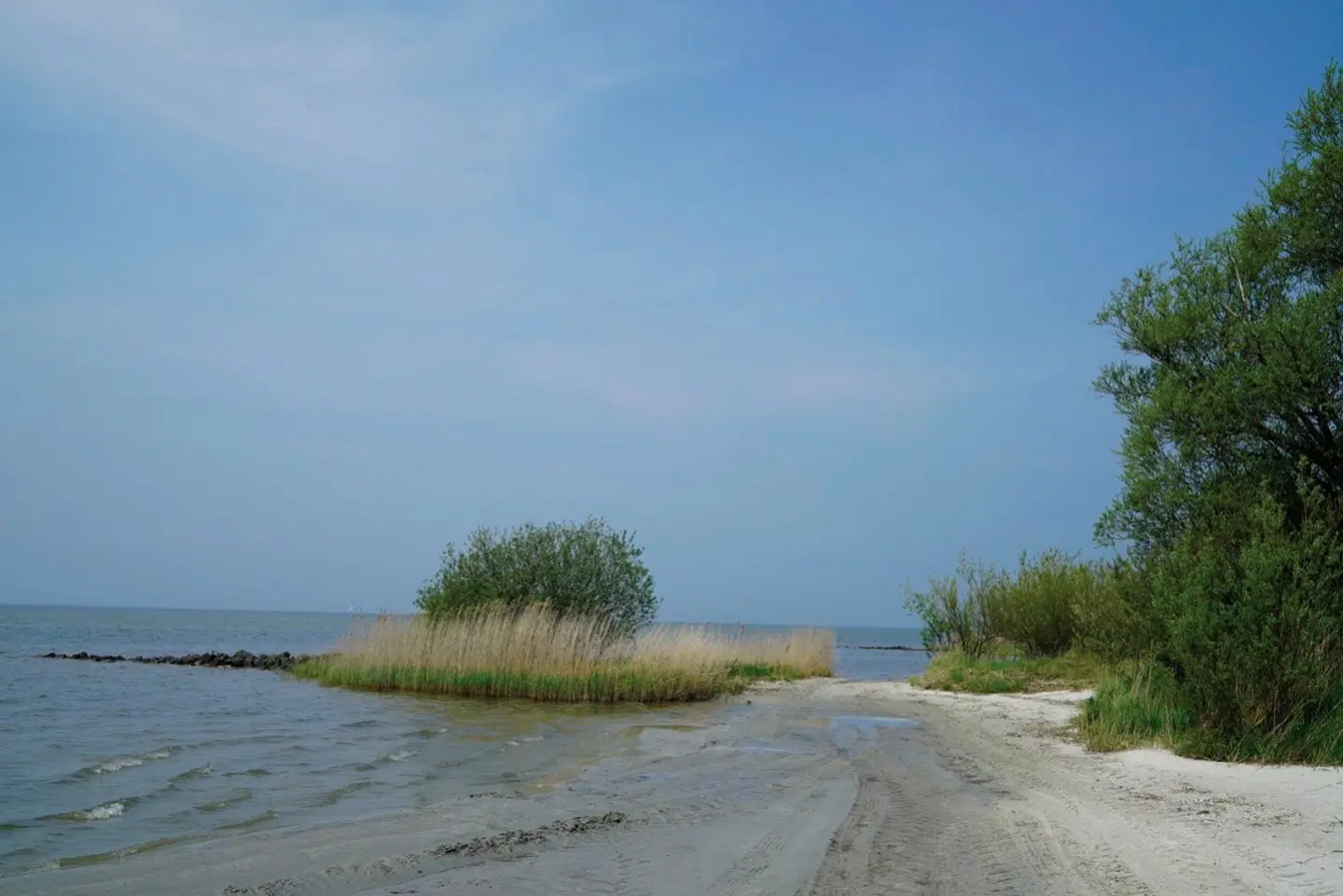 EuroParcs Hindeloopen LANDSCAPE