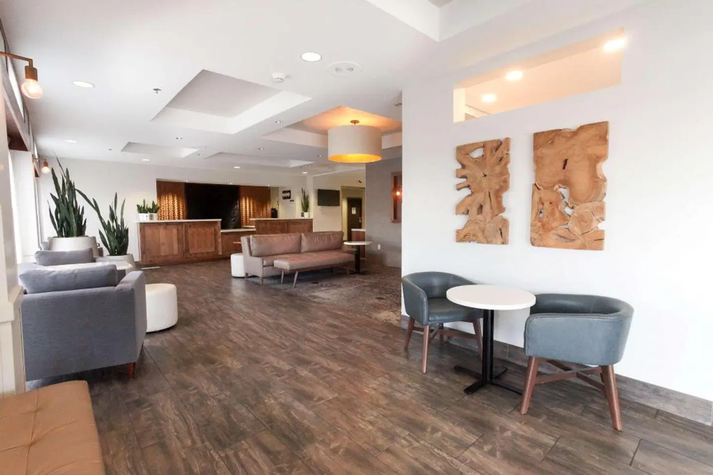 Best Western Plus Cotton Tree Inn Bar