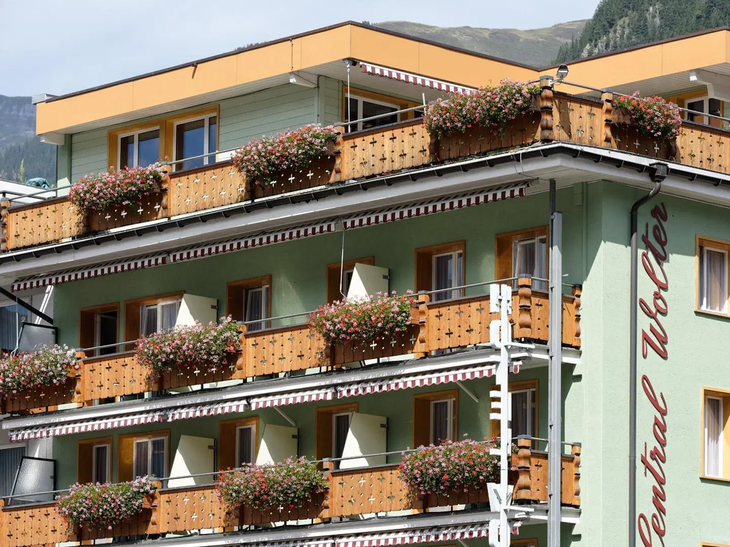 Central Wolter EXTERIOR