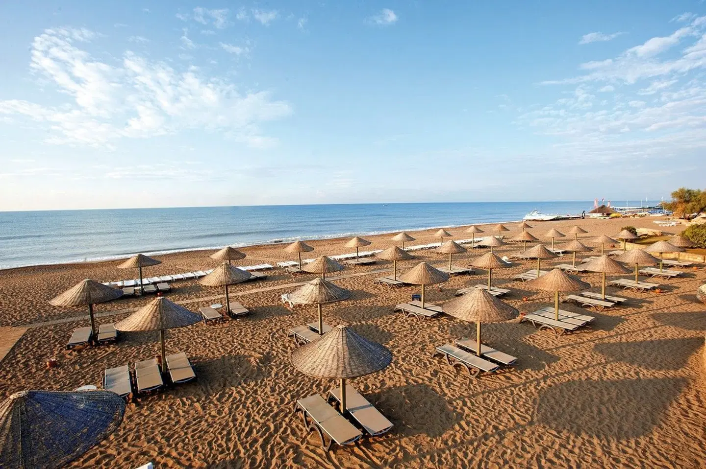 Crystal Tat Beach Pearl Collection Strand