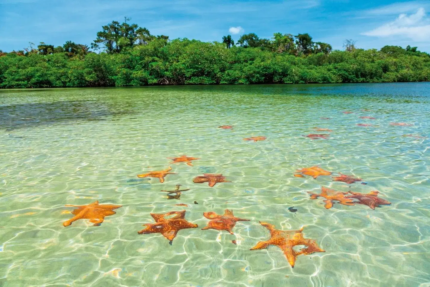 Panama auf eigene Faust inkl. Anschluss Bocas del Toro SPORTS_AND_LEISURE