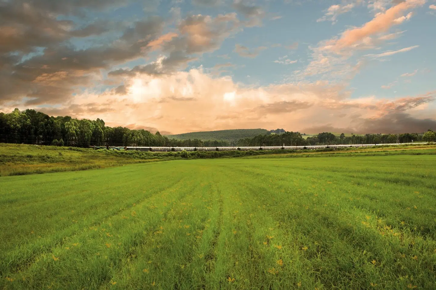 Rovos Rail - The Pride of Africa SPORTS_AND_LEISURE