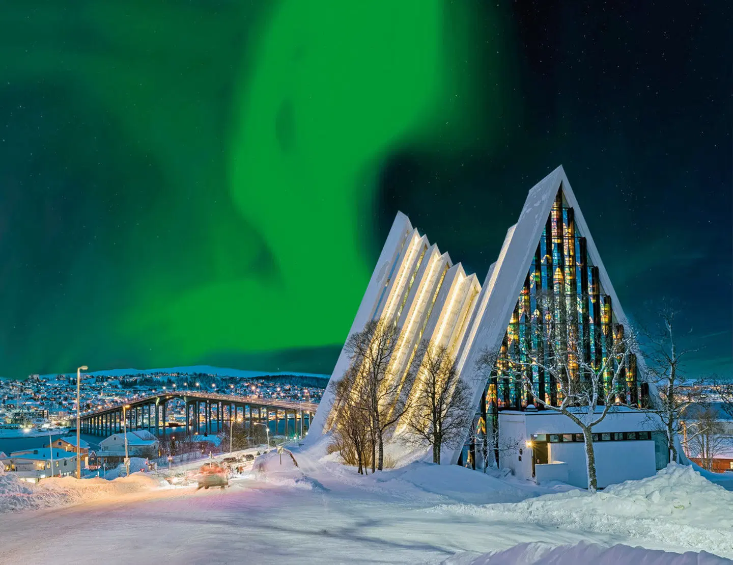 Polarlichtmetropole Tromsø Tiere