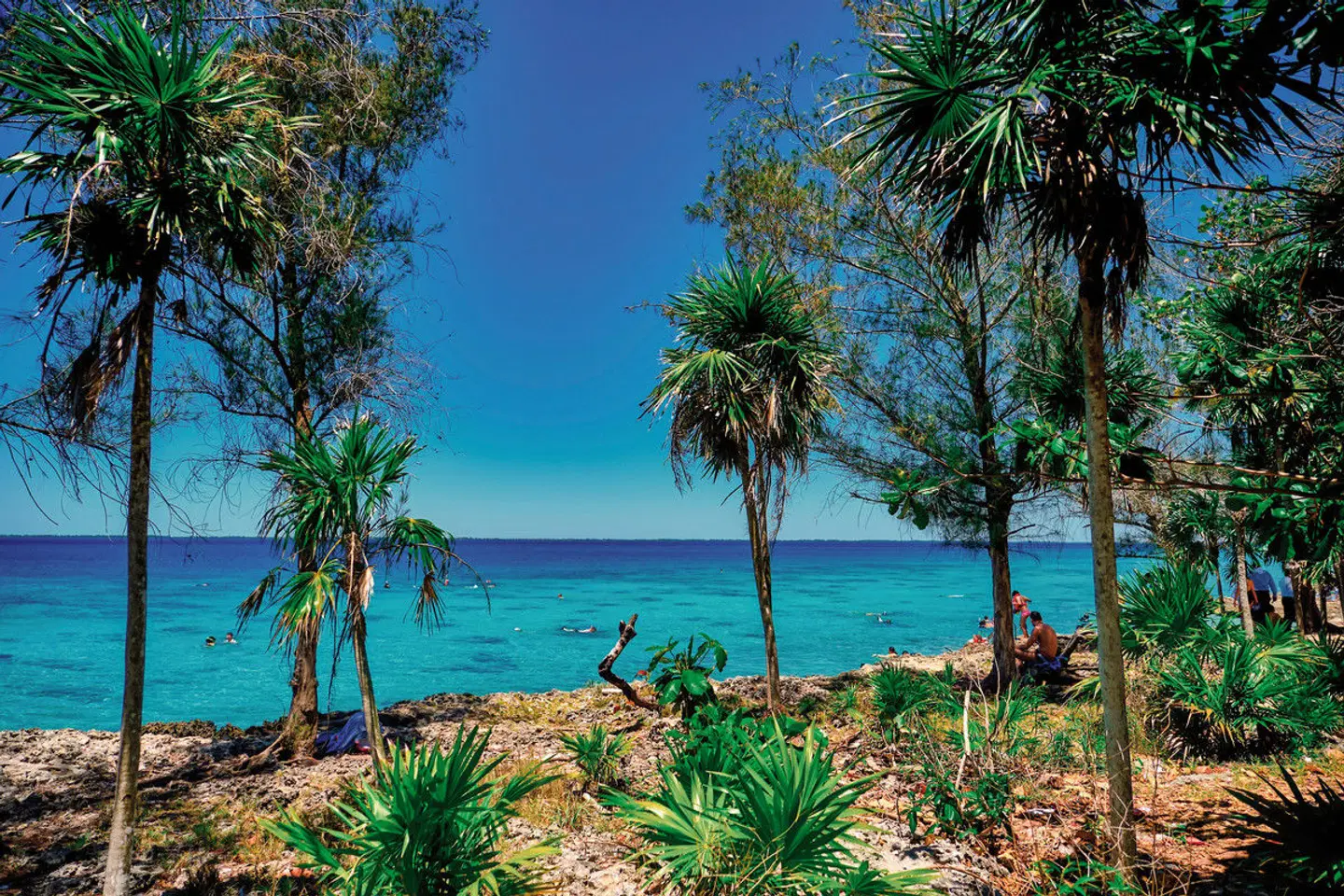Die etwas andere Insel - Mietwagenreise Garten