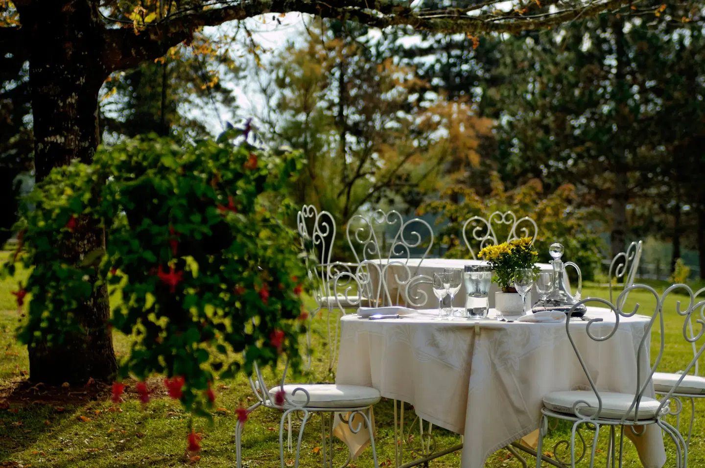 La Metairie Terrasse