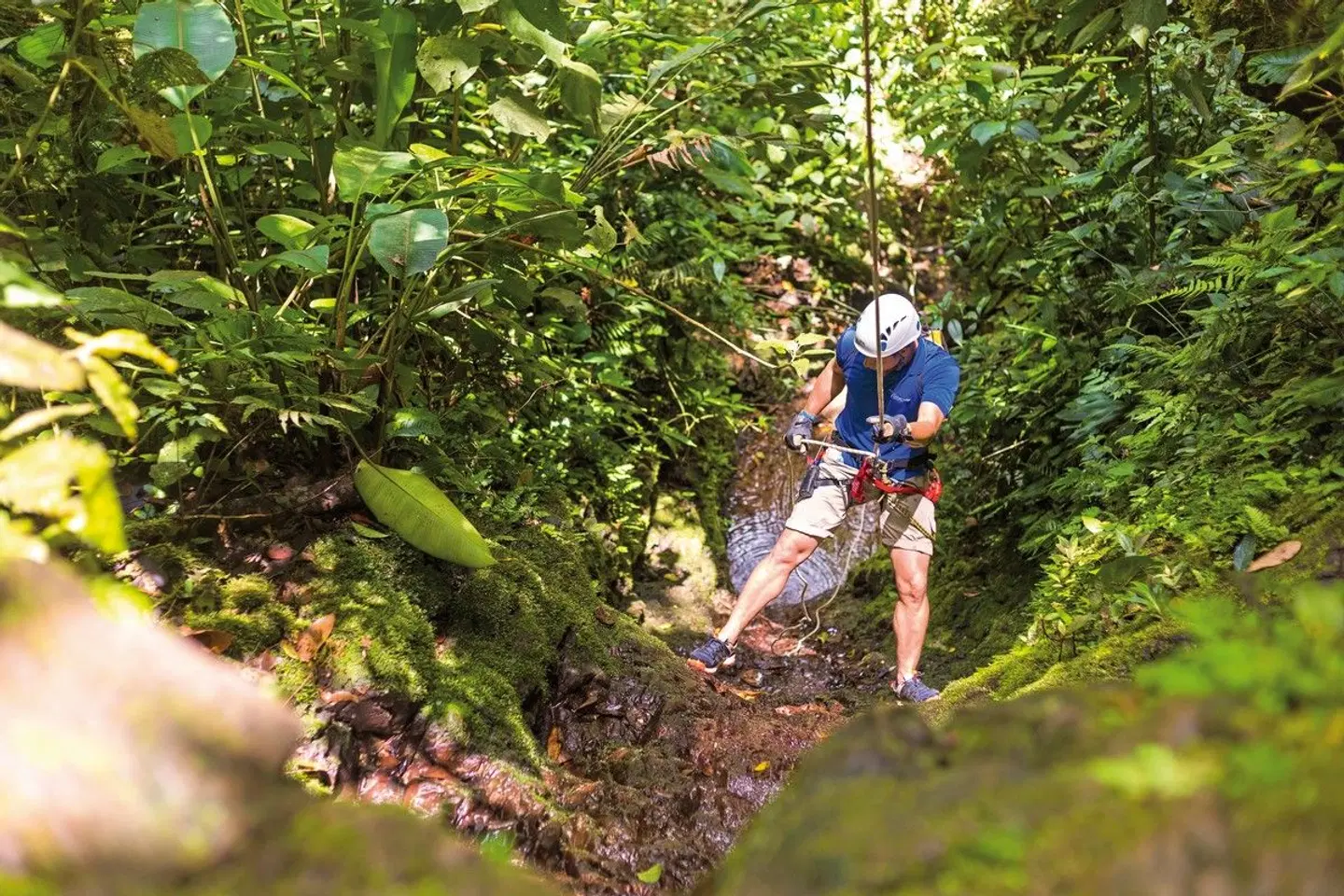 Tropenparadies Pacuare Lodge LANDSCAPE