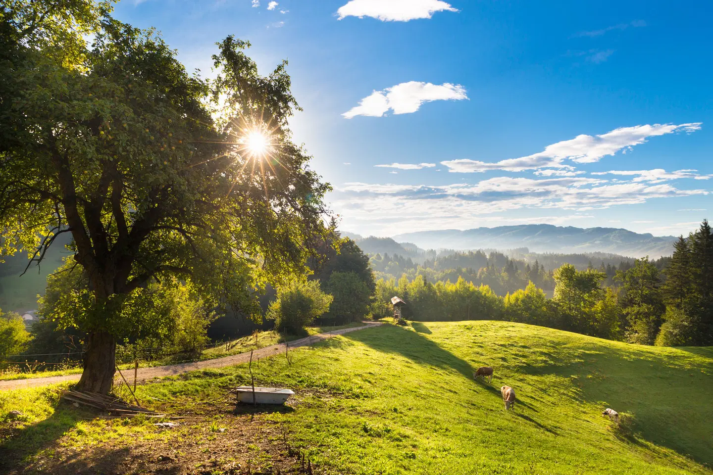 GreenLine Hotel Terme Snovik LANDSCAPE