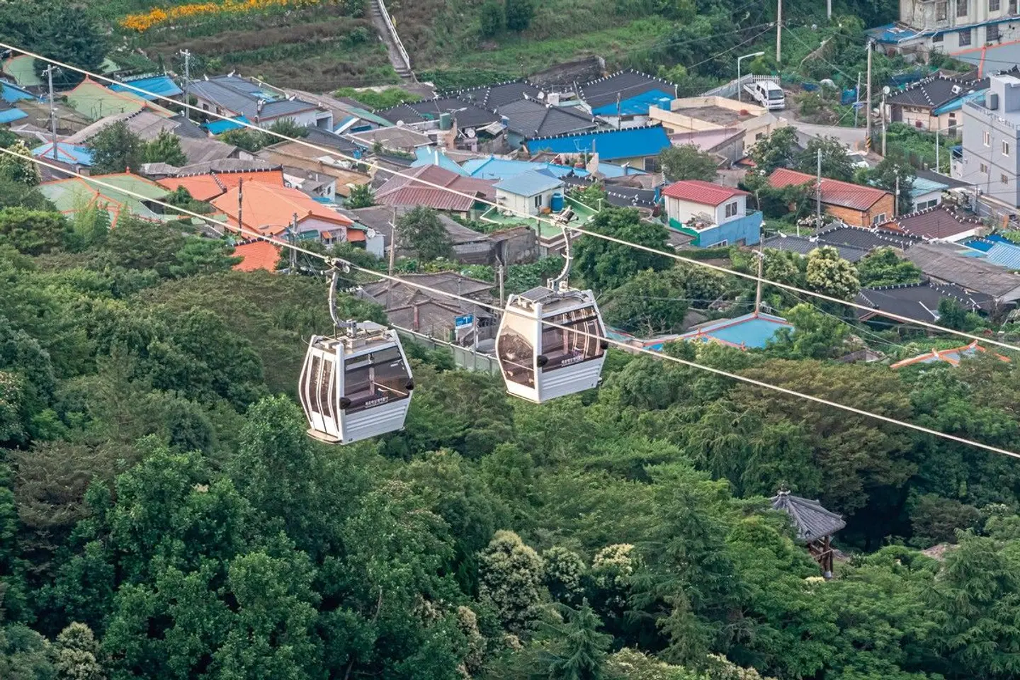 Höhepunkte Südkoreas (inkl. Flug) EXTERIOR