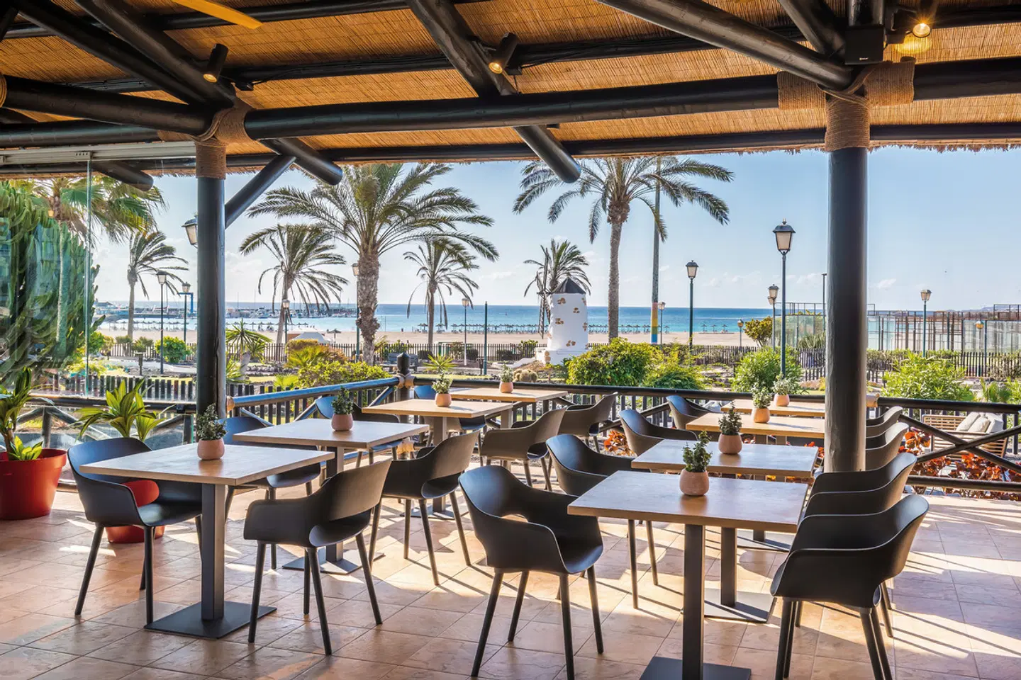 Barceló Fuerteventura Mar Terrasse