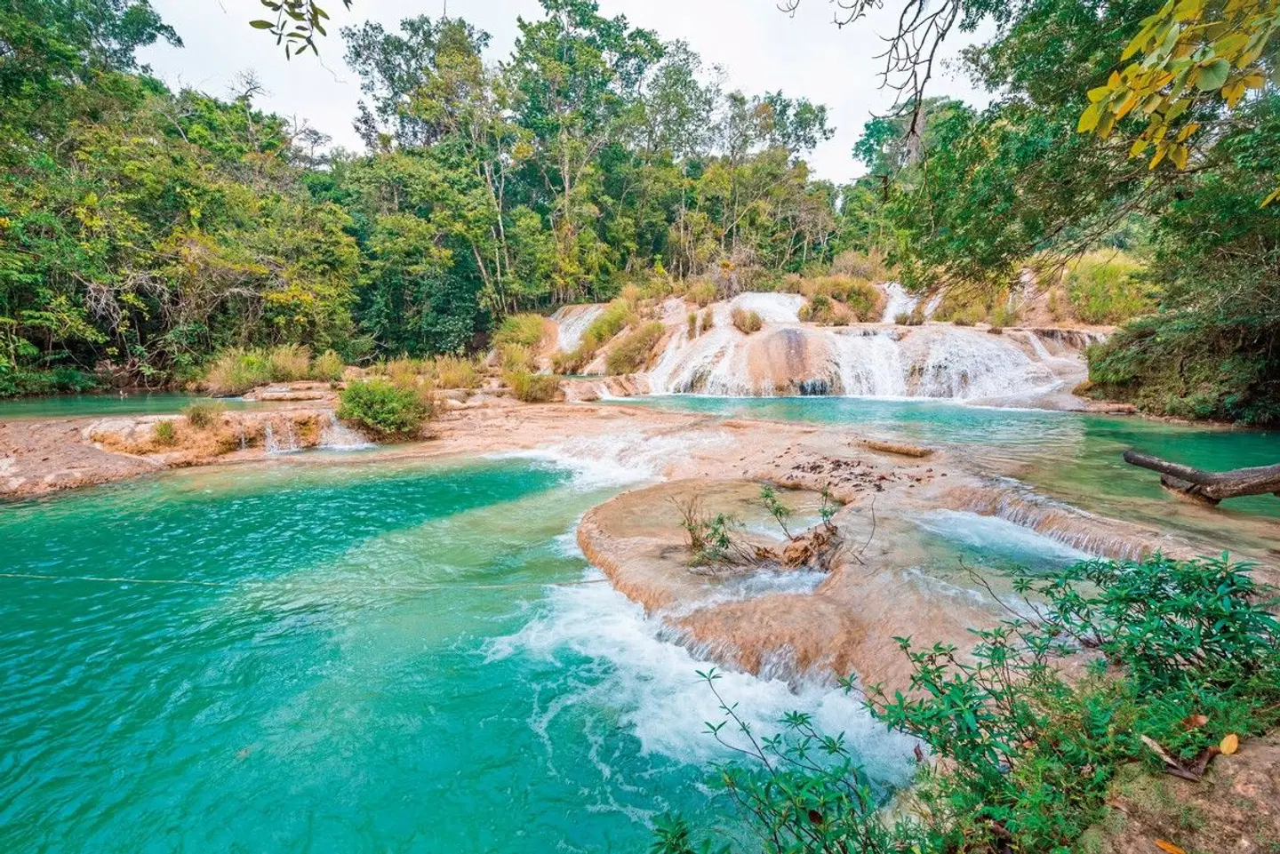 Maya Kultur & Magie - die tiefe Seele Yucatans Garten
