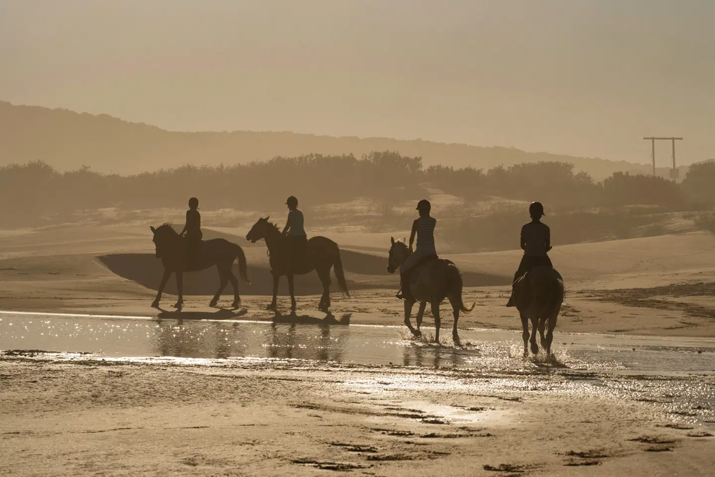 Oceana Beach & Wildlife Reserve SPORTS_AND_LEISURE