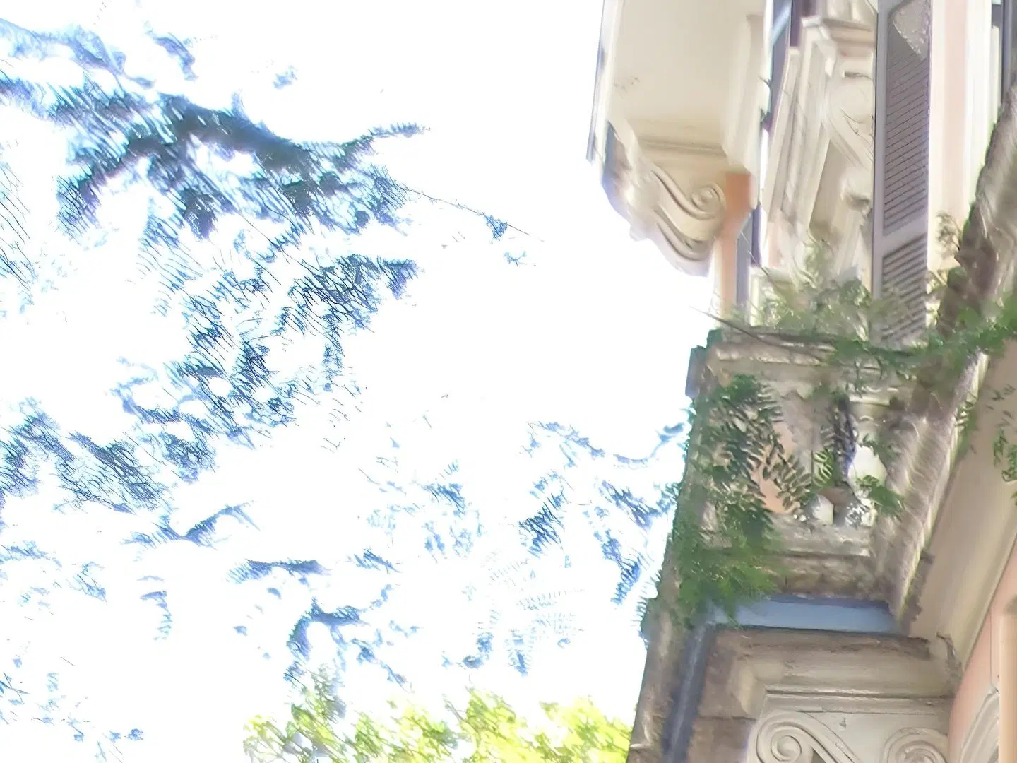 Carlo Alberto House MODEL_IMPRESSION