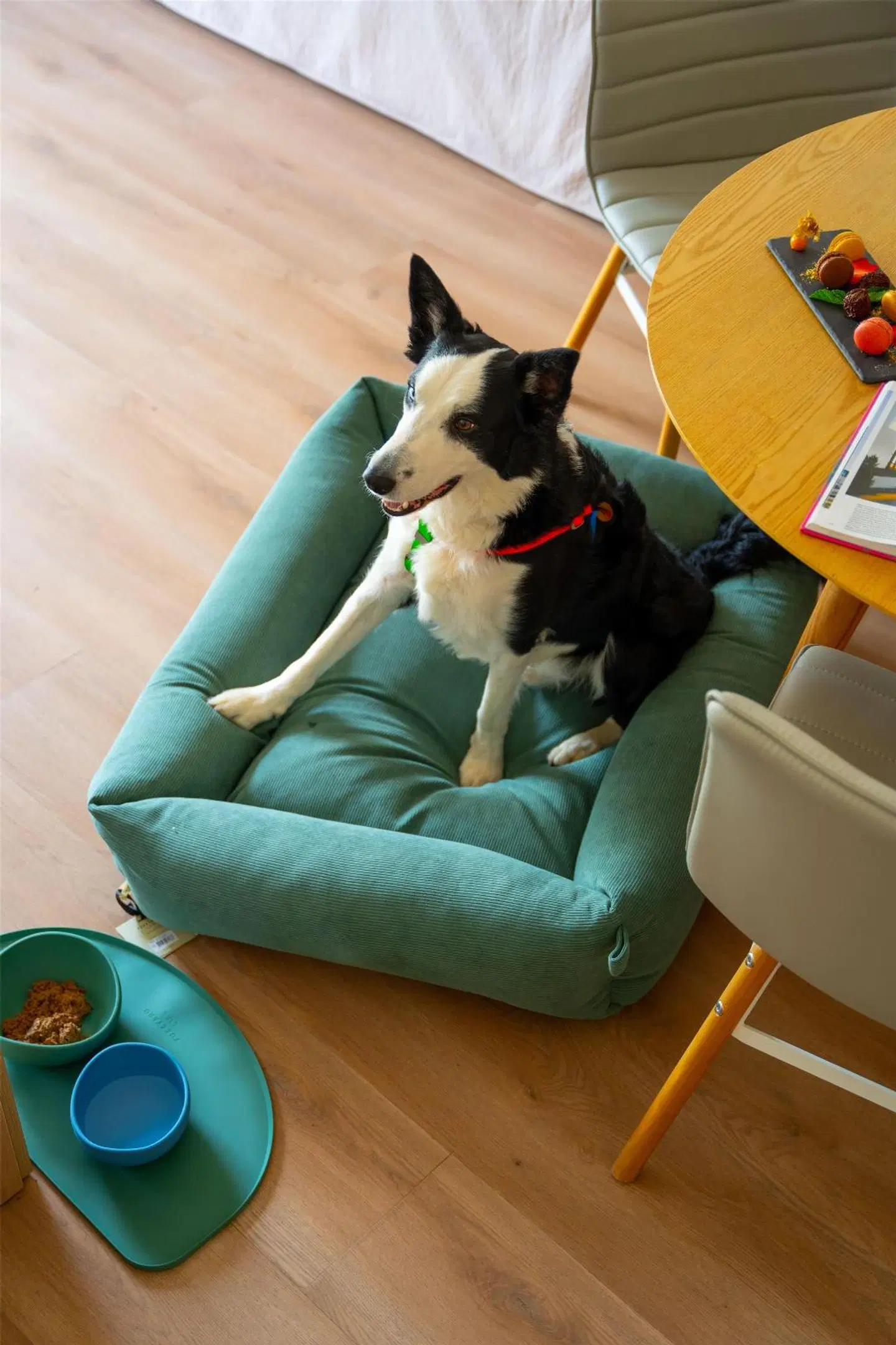 INNSiDE Alcudia Tiere