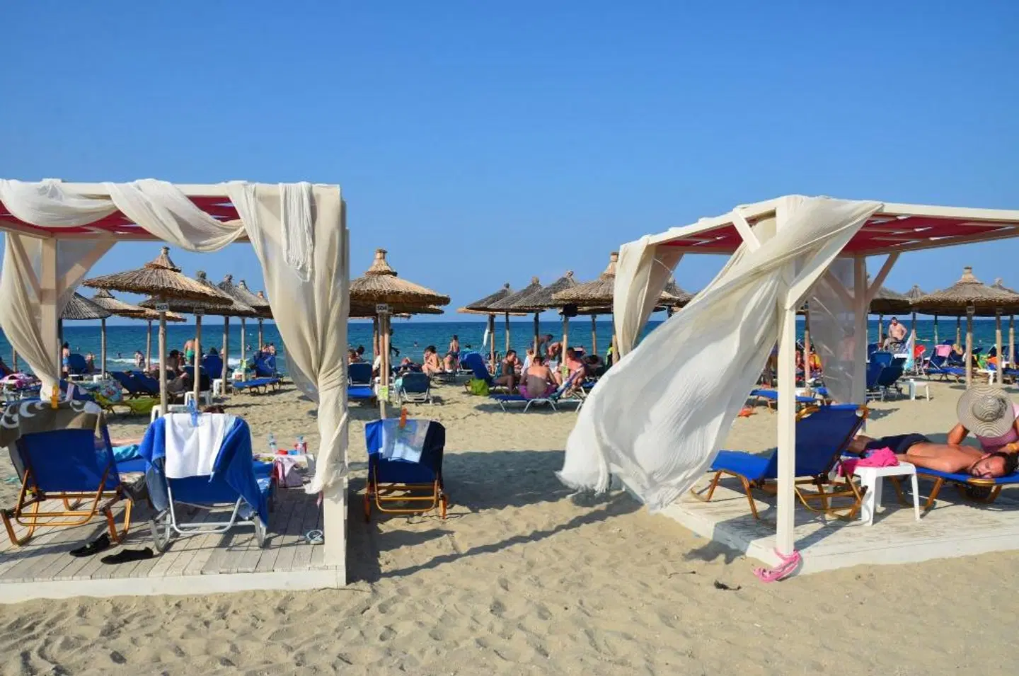 Evilion & Stilvi - Sea & Sun Hotels Tiere