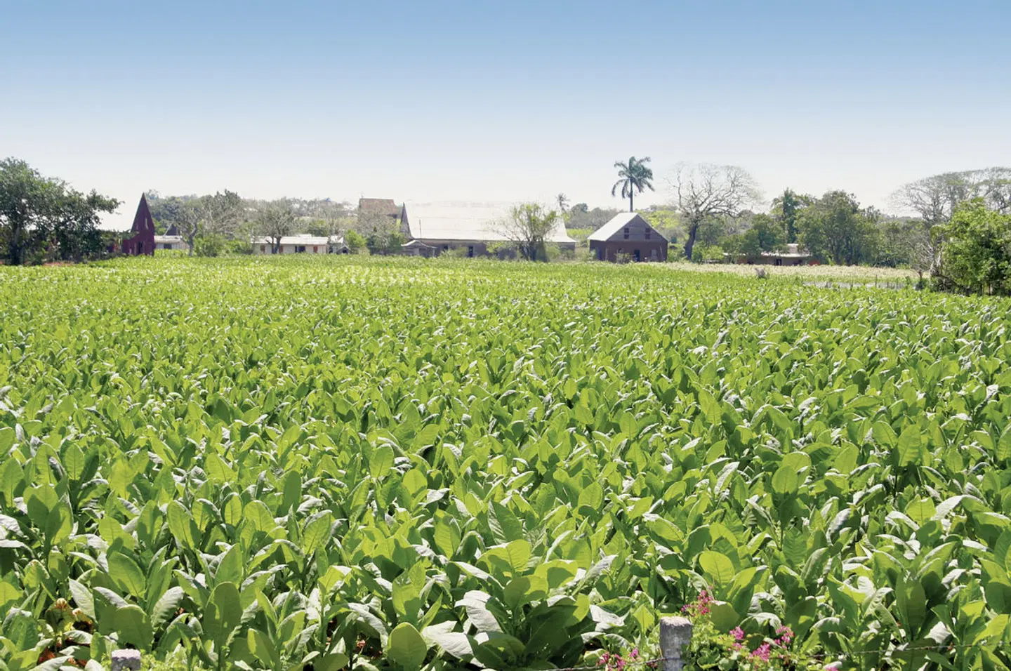 Höhepunkte Kubas ab Holguin LANDSCAPE