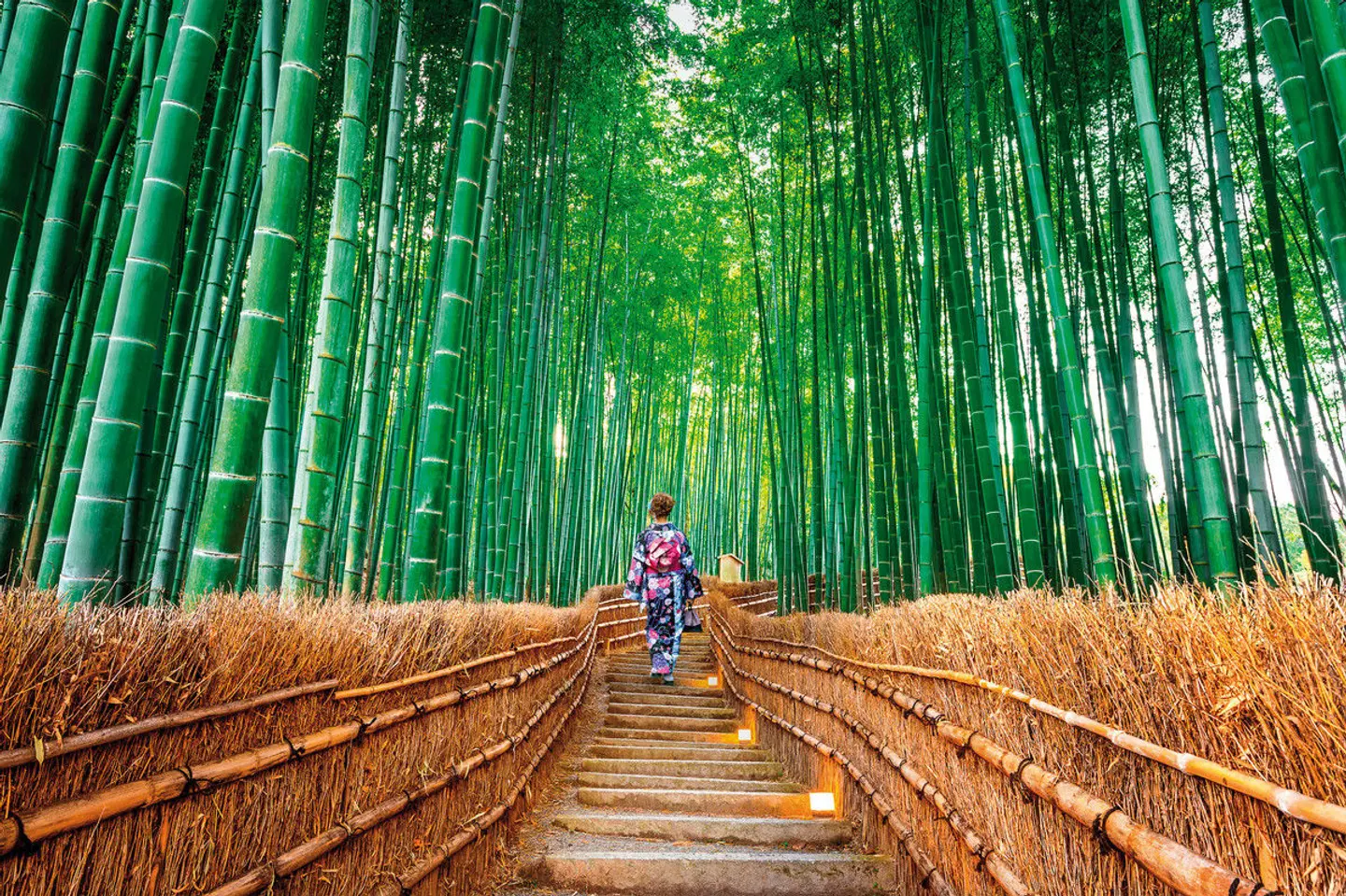 Japan für Individualisten (inkl. Flug) LANDSCAPE